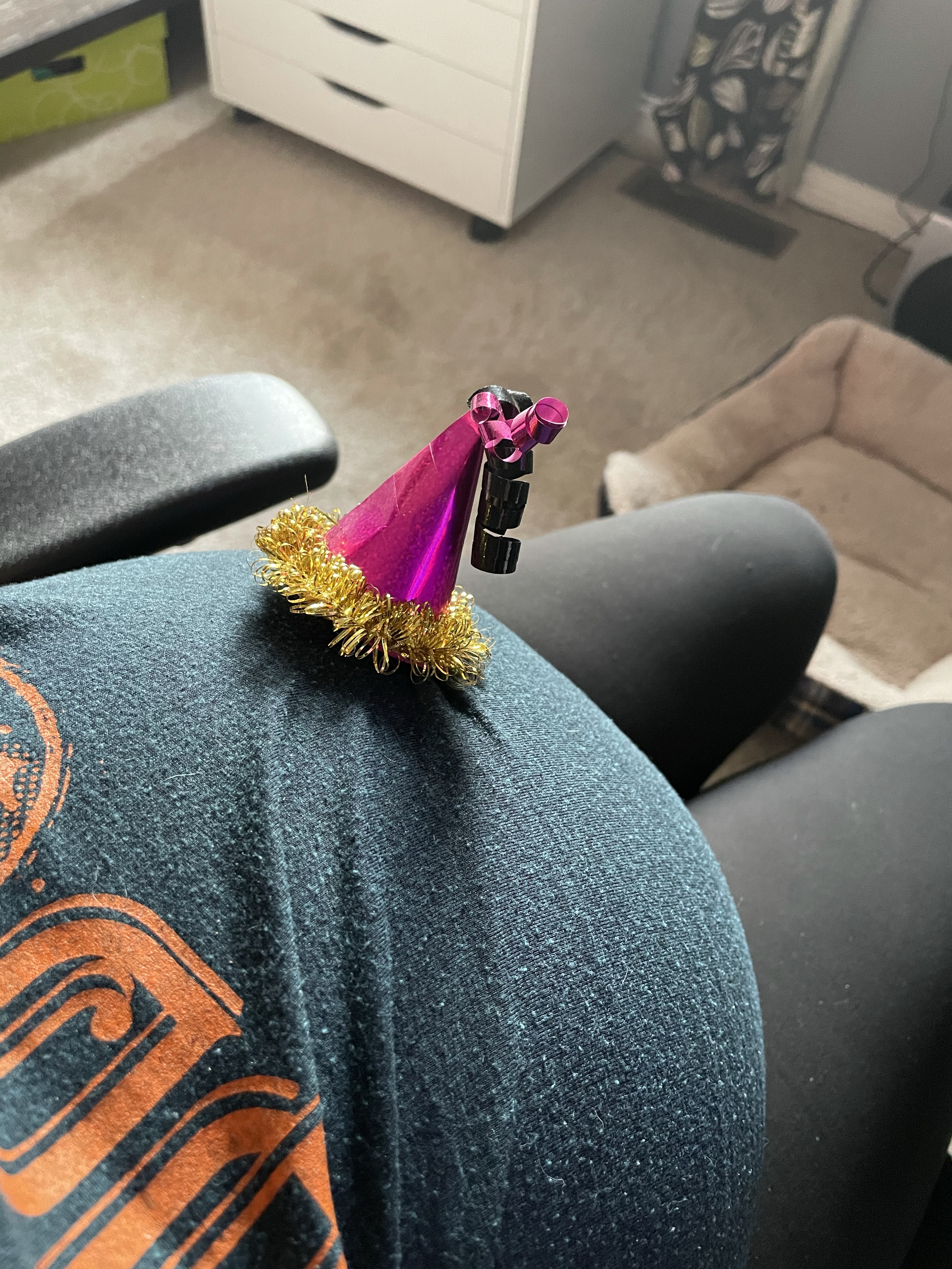 bb evie’s not-birthday