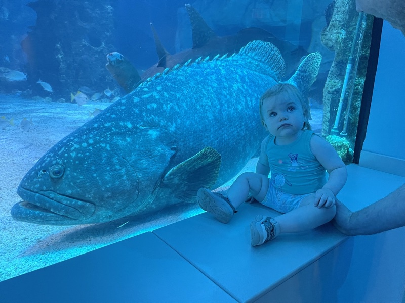 First Aquarium Visit